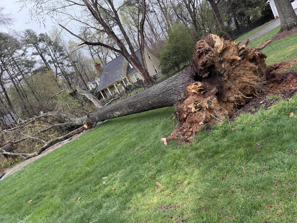 Storm Cleanup