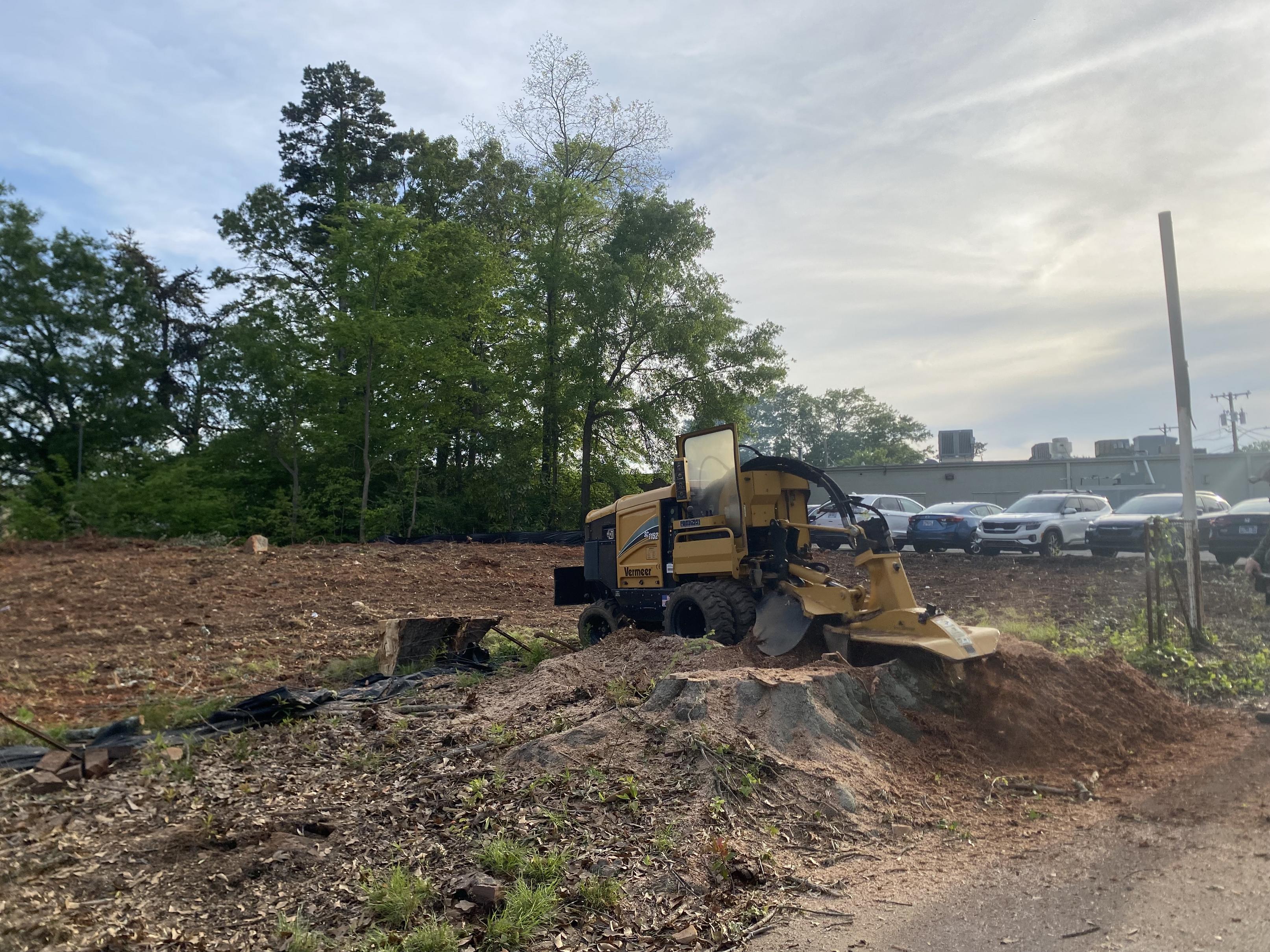 Stump Grinding