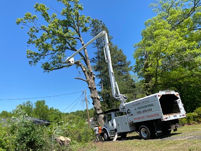 Tree Trimming